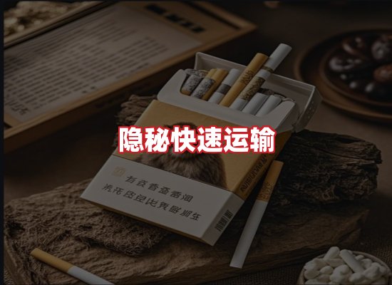 专业团队